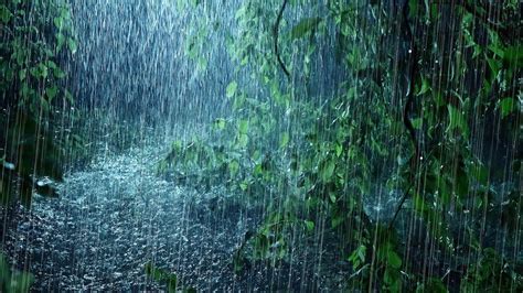 Can You Paint While It's Raining? And What Happens When Colors Meet the Storm?