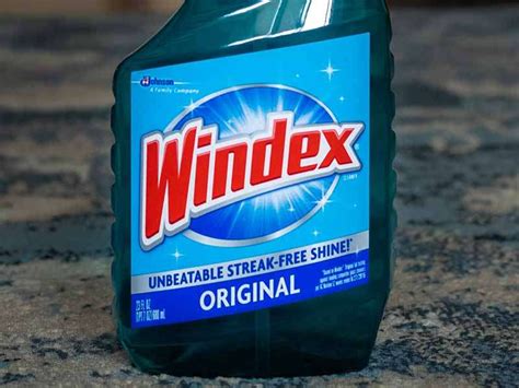 Can You Use Windex on Car Paint? And Why Do Birds Suddenly Appear Every Time You Wash Your Car?