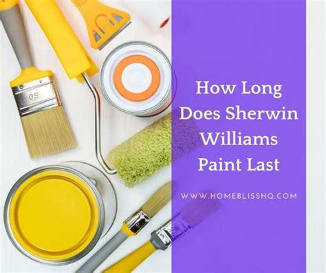 How Long Does Deck Paint Last: A Journey Through Time and Color